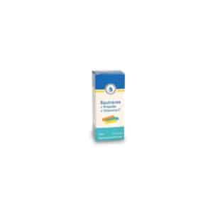 Equinácea + Própolis + Vitamina C - 50ml Naturodiet