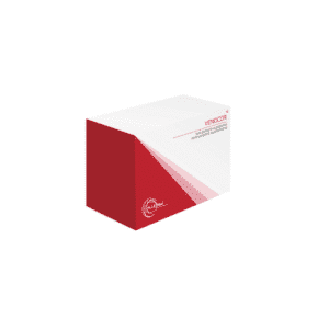 Venocor - 60 Cápsulas M.J.S Med
