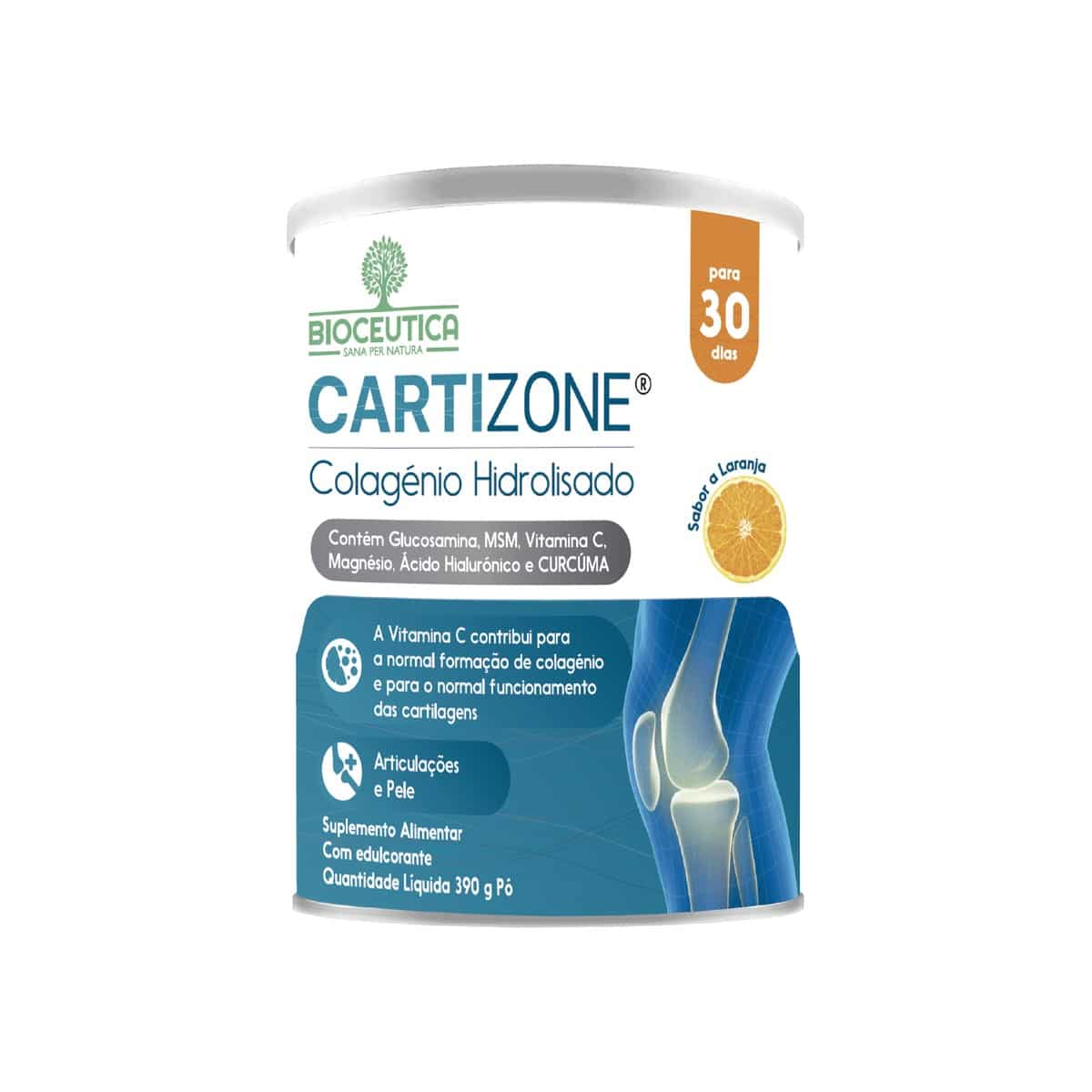 Cartizone Pó 390g Bioceutica