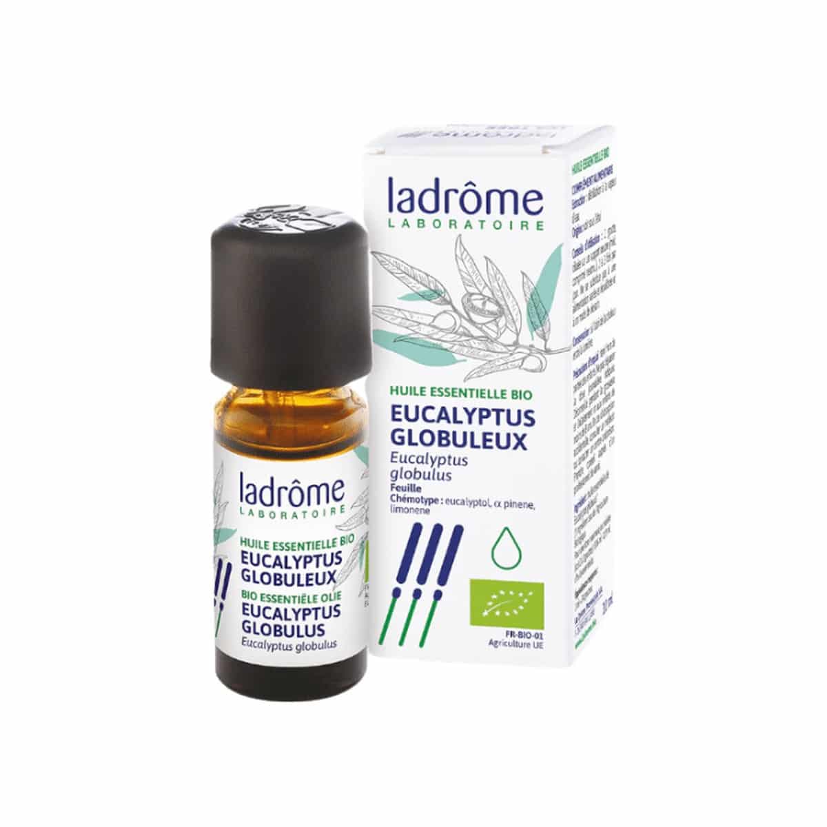 Óleo Essencial de Eucalipto Globulus Bio 10ml Ladrôme
