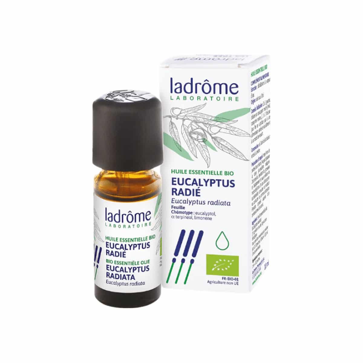 Óleo Essencial de Eucalipto Radiata Bio 10ml Ladrôme